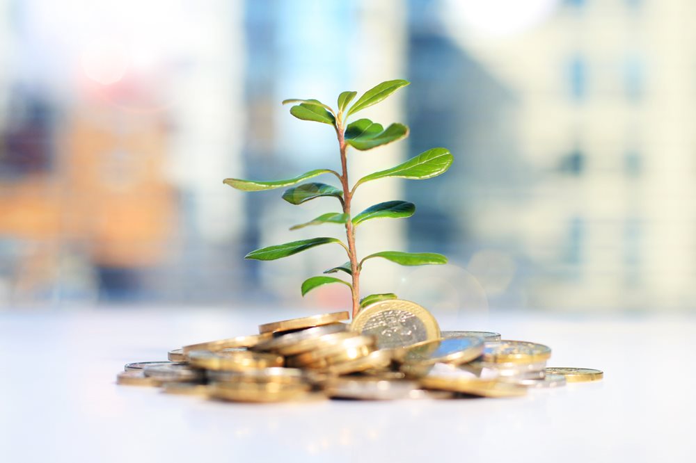 plant grows from stack of coins