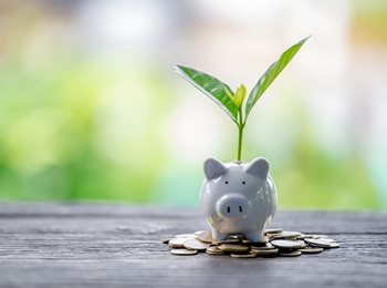 coins and piggy bank with plant growing up